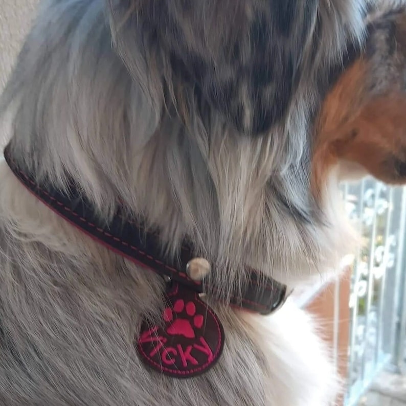 Hundemarkentasche, Antiklapperanhänger personalisierbar aus dunkelbraunem Kork, abwaschbar Hülle für Hundemarken mit Namen Antiklappertasche Bild 10
