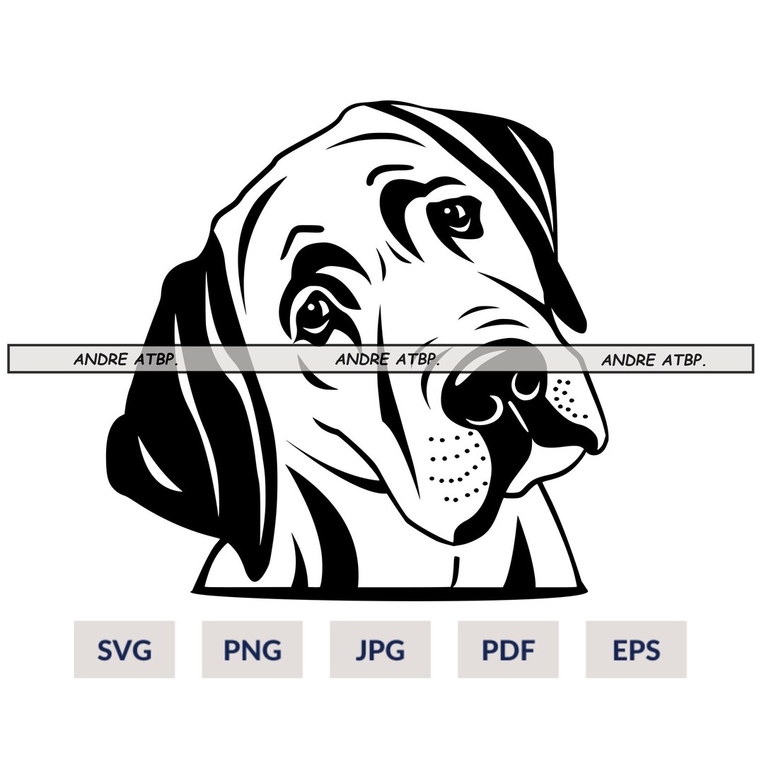 Labrador Svg Files for Cricut | Dog Clipart Lab Breed Vector | Cute ...