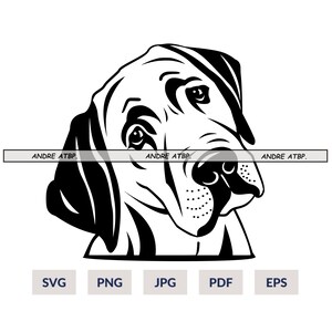 Labrador svg files for Cricut | Dog clipart lab breed vector | cute face head Silhouette cameo | printable png download shirt svg | dog svg