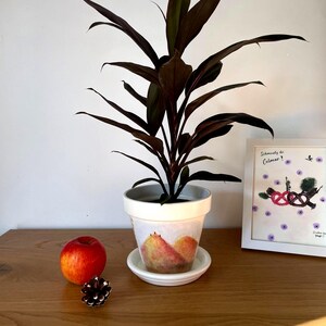 Può includere: Un vaso da fiori in ceramica bianca con un disegno di pere dipinto, contenente una pianta con foglie rosso-viola scuro. Accanto al vaso si trovano una mela rossa e una piccola pigna. A destra, una stampa incorniciata con il testo Schmeutz de Colmar.