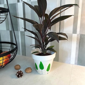 Peut inclure: Une plante en pot aux feuilles lancéolées violet foncé est placée dans un pot en céramique blanc. Le pot présente des motifs d'arbres peints à la main en vert et de petits points dorés autour de la base. La plante a plusieurs tiges.