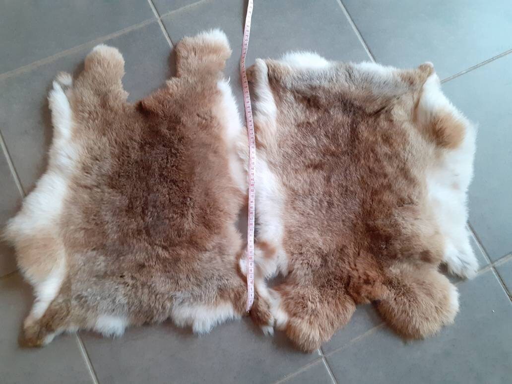 Peau de Lapin Jumbo