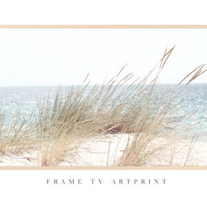 Pode incluir: Uma fotografia de grama alta de cor marrom claro soprando no vento na frente de um oceano azul. A areia é branca e o céu é azul claro.