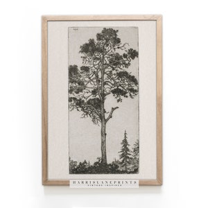 Vintage Inspired Art Print | &quot;Trees Sketch Study 1&quot; - Custom Size N/A | Neutral | Modern | Printable | Farmhouse | Rustic