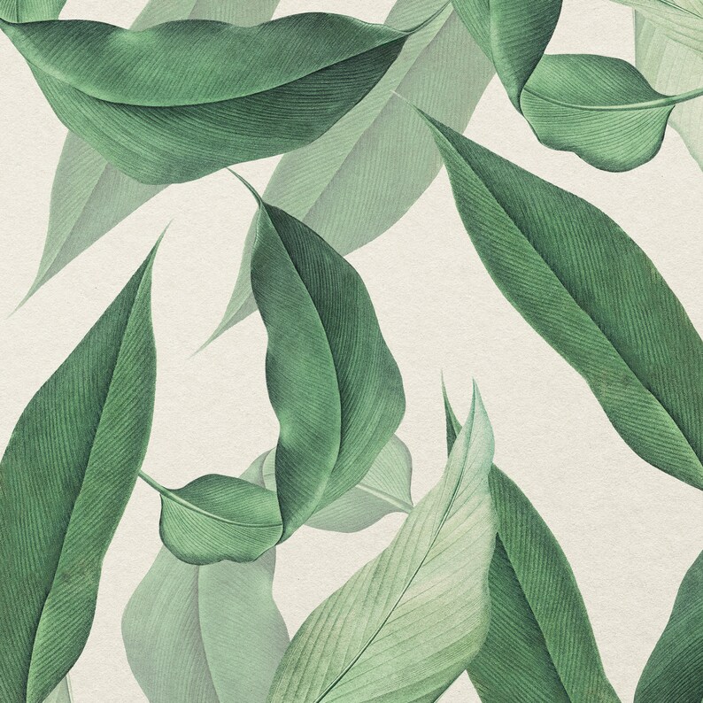 May include: A seamless pattern of green leaves on a white background. The leaves are arranged in a random pattern, with some overlapping. The leaves are all different sizes and shapes, but they all have a similar green color.