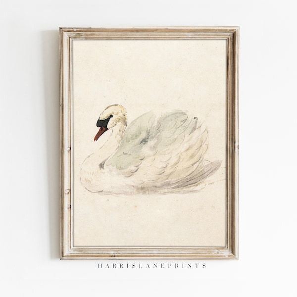 Vintage Inspired Art Print | "Swan Water Color" | Painting | Rustic | Traditional | Printable | Farmhouse | Animal |  Nursery | Kids