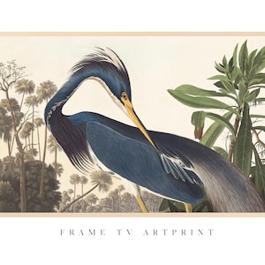May include: A vintage illustration of a blue heron with a yellow beak standing in a lush green forest setting. The bird is depicted in a detailed and realistic style, with its feathers and plumage rendered with precision. The background features a variety of trees and plants, creating a sense of depth and atmosphere. The image is framed with a light brown border.