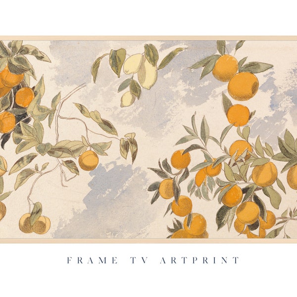 Samsung Frame TV art file | "Mandarine Oranges Lemons" | Traditional | Water color | Vintage | Pencil | Illustration | Painting | Fruit Tree
