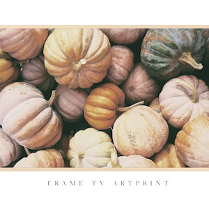 May include: A close-up image of a pile of various sized and colored pumpkins. The pumpkins are mostly beige and brown with some green and orange pumpkins in the mix.