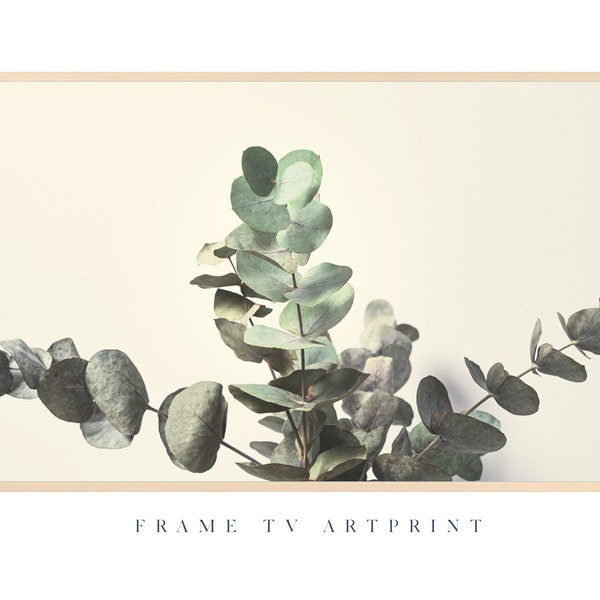 Samsung Frame TV art, "Muted Eucalyptus" | Modern | Florals | Green | Muted | Farmhouse | MCM | Greenery | Minimal | Boho | Bohemian