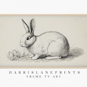 Samsung Frame TV art, &quot;Spring Easter Bunny Sketch&quot; Nursery, Vintage, Neutral Muted, Farmhouse, Minimal, Abstract