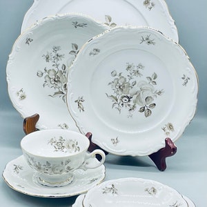 Vintage Mitterteich Bavaria Charming Barbara Germany 7 Piece Place Setting Dinner Set for 2 ( 14 Pieces)