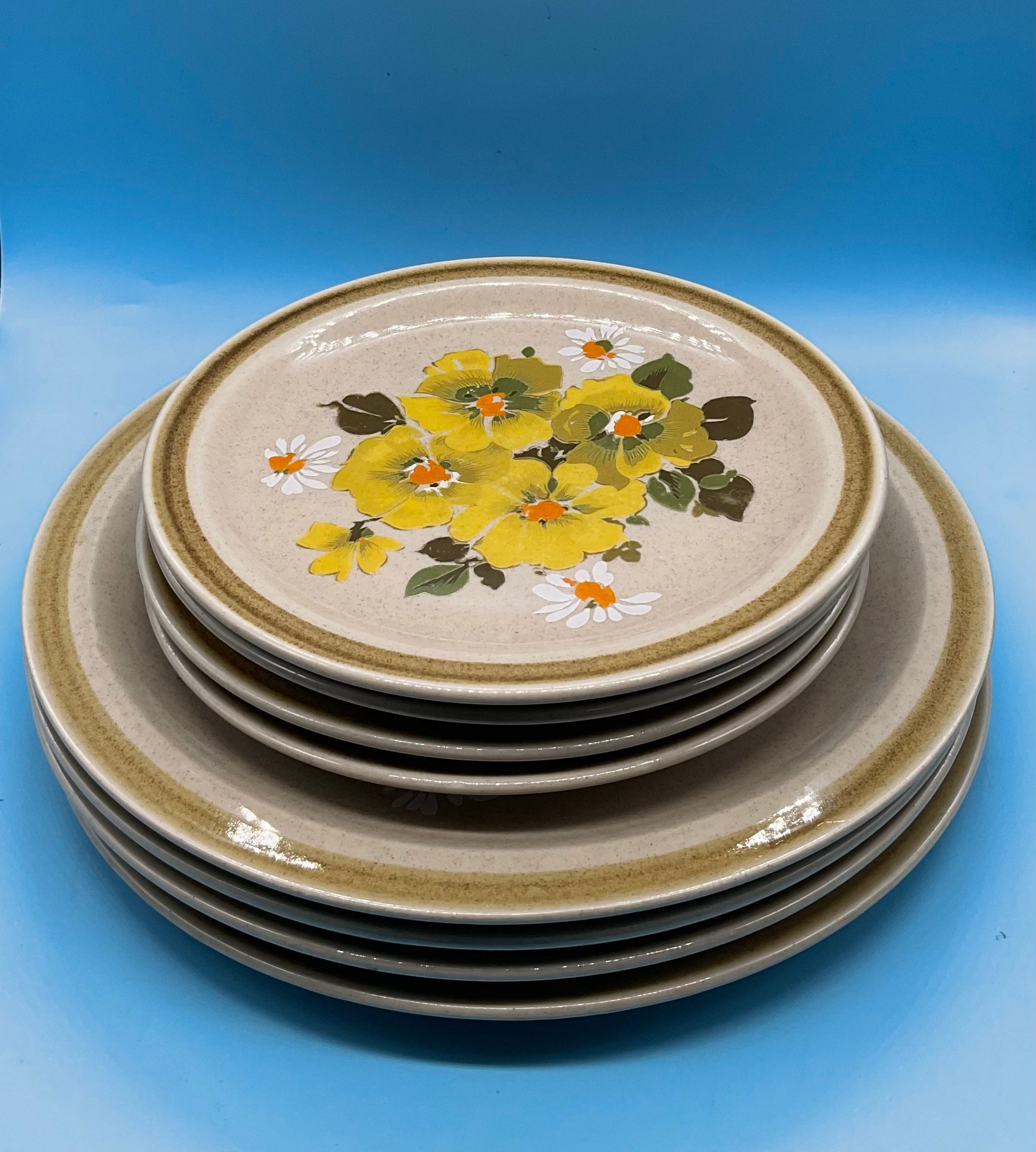 COUNTRY SIDE 皿 約24cm 日本製 20枚