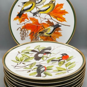 食器 Woodland Birds of the World Plate Vintage Arthur Singer Woodland Birds of the World Porcelain Plate