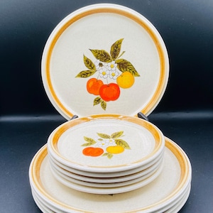 Vintage Mikasa Stone Manor F 5812 Temting 5 Dinner Plates and 5 Salad Plates ( 10 Pieces) Made in Japan