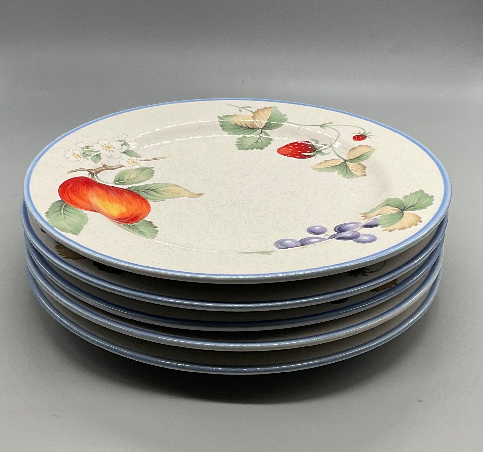 Savoir Vivre Luscious JJ017 Fruit Design Stoneware 5 Salad Plates