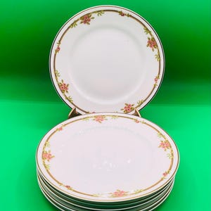 Vintage Theodore Haviland Limoges France . 6 Salad Plates