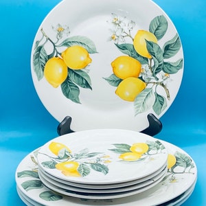 Vintage Mikasa Fine China Dresden Rose 19009 Made in Japan 7 Piece