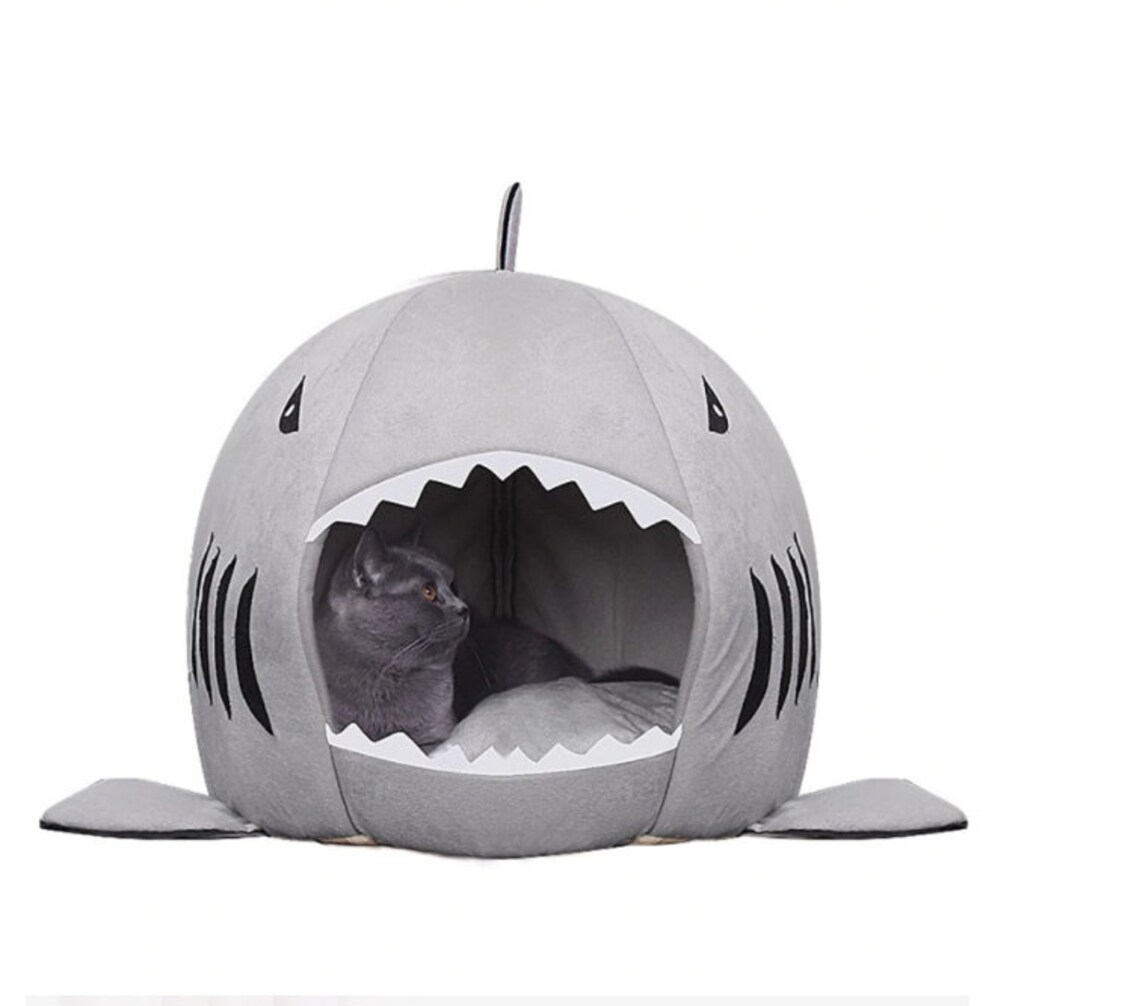 Cute Funny Shark Pet Bed / Cat & Dog Shark Bed / Pet Den House Etsy
