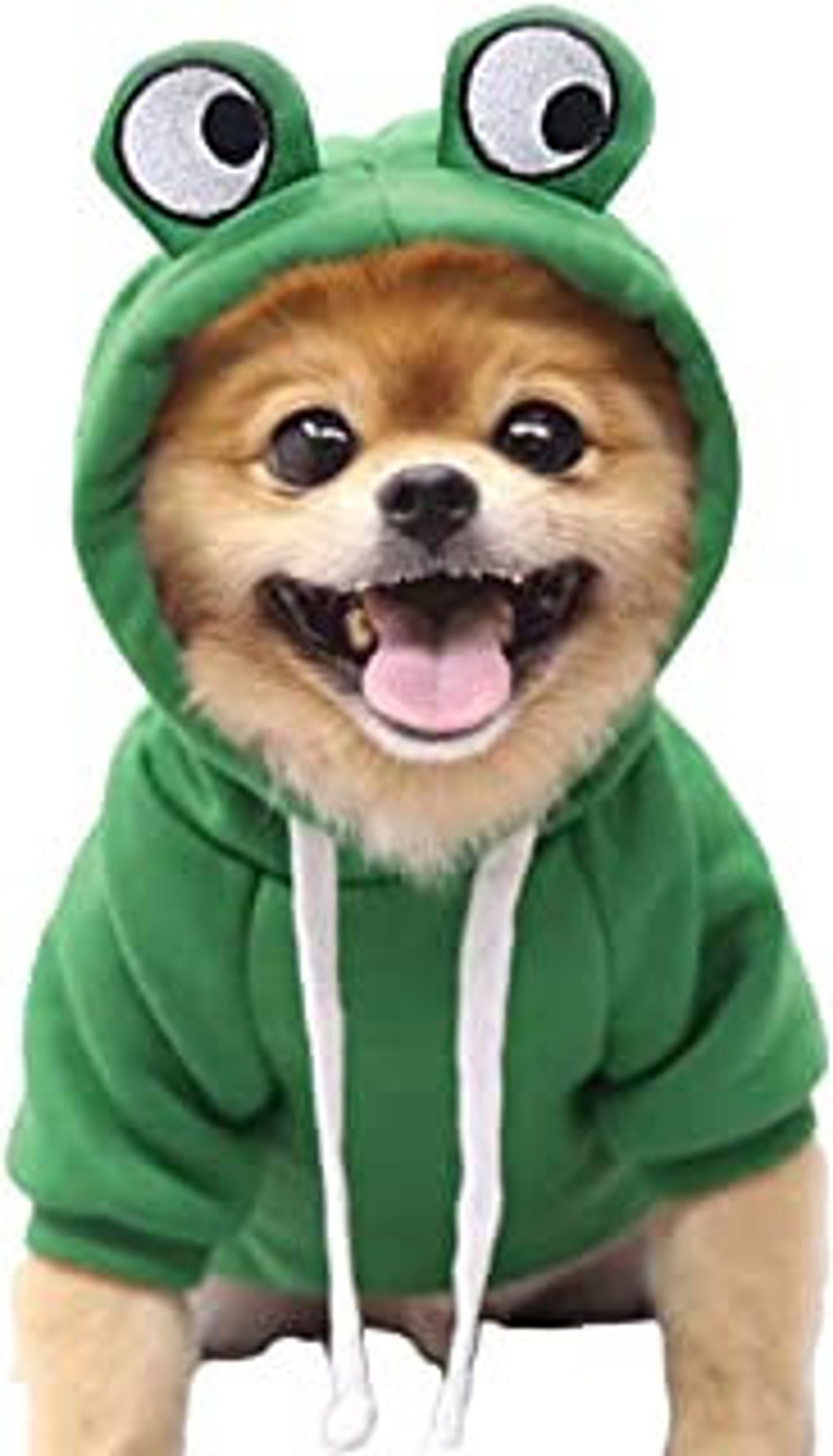 Cute Dog & Cat Frog Costume / Pet Dog and Cat Frog Hoodie Etsy
