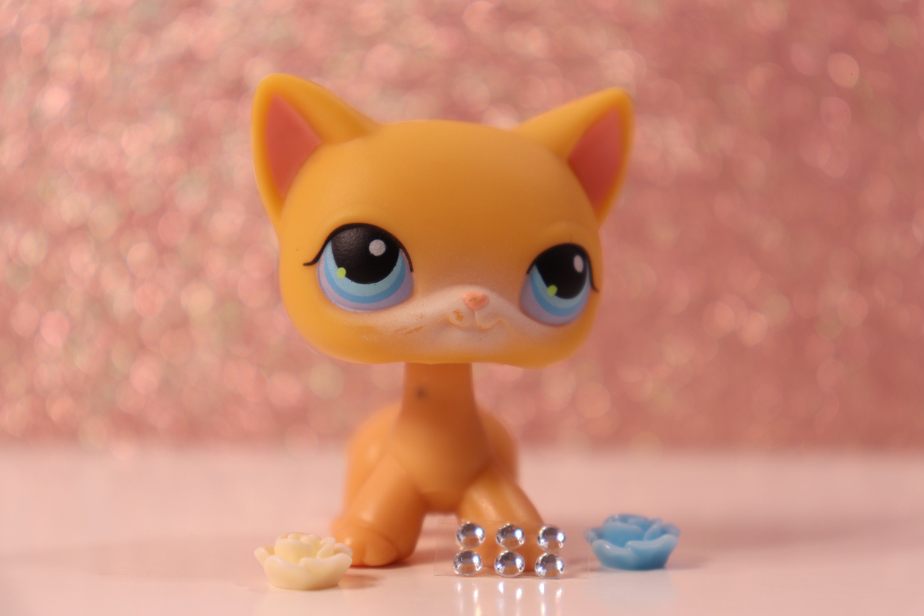 LPS 71 Orange Shorthair Cat