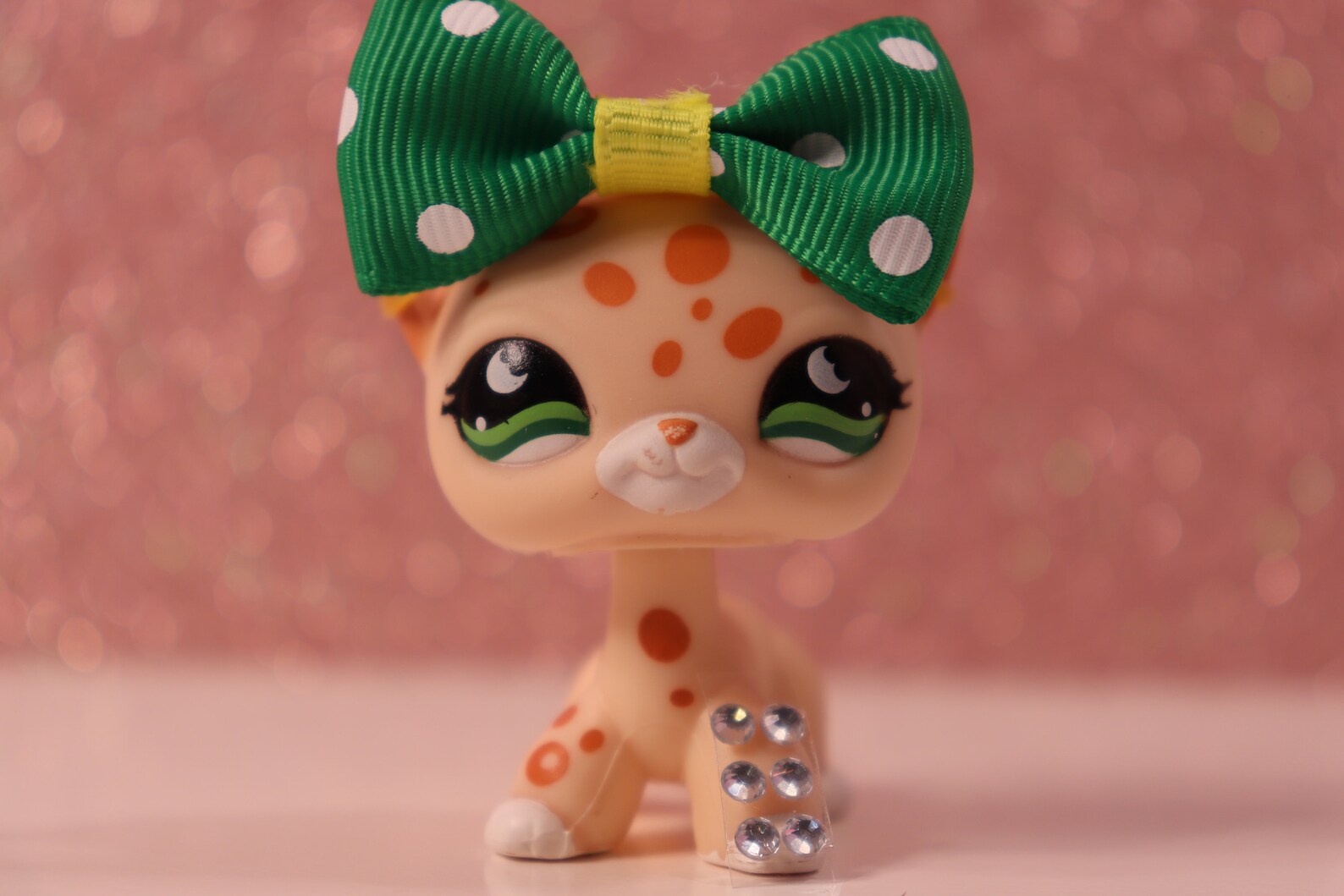 lps leopard shorthair