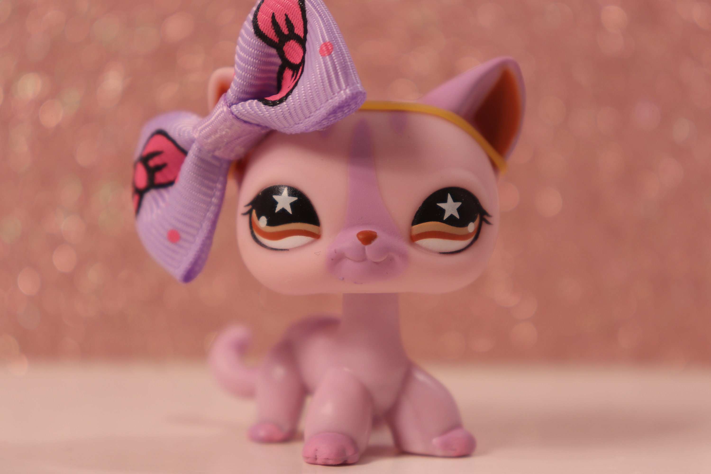 Got the pink shorthair! : r/CatsAndSoup