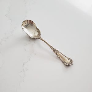 Antique Wm Rogers and Son Ornate Shell Scalloped Sugar Spoon