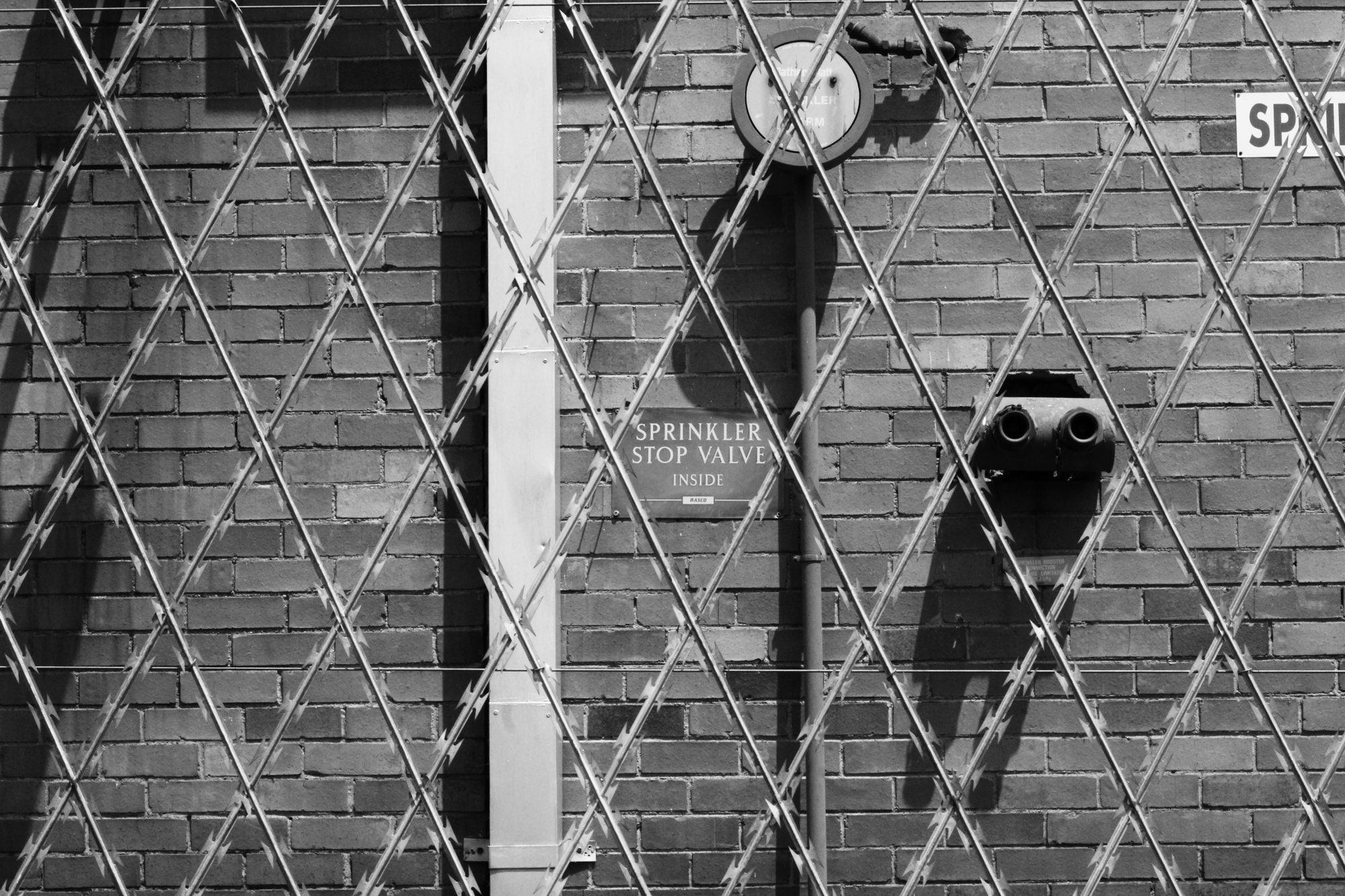 Black and White photography downloadable wall art digital | Etsy