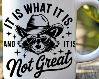 It Is What It Is Mug: Funny Raccoon Meme Birthday Gift