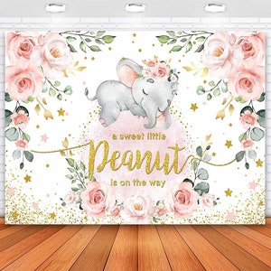 Baby Shower Backdrop Hot Air Balloon Baby Girl Pink Elephant Step Repeat Banner Party Our little peanut is on her way Step and Repeat Baby Shower Backdrop Hot Air Balloon Baby Girl Pink Elephant Step Repeat Banner Party Our little peanut is on her way Step and Repeat