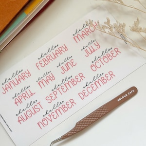 Puede incluir: Una hoja de pegatinas de vinilo transparente con los meses del año en escritura rosa, con la palabra "hello" encima de cada mes. Una pinza marrón y un cuaderno también están en la imagen.