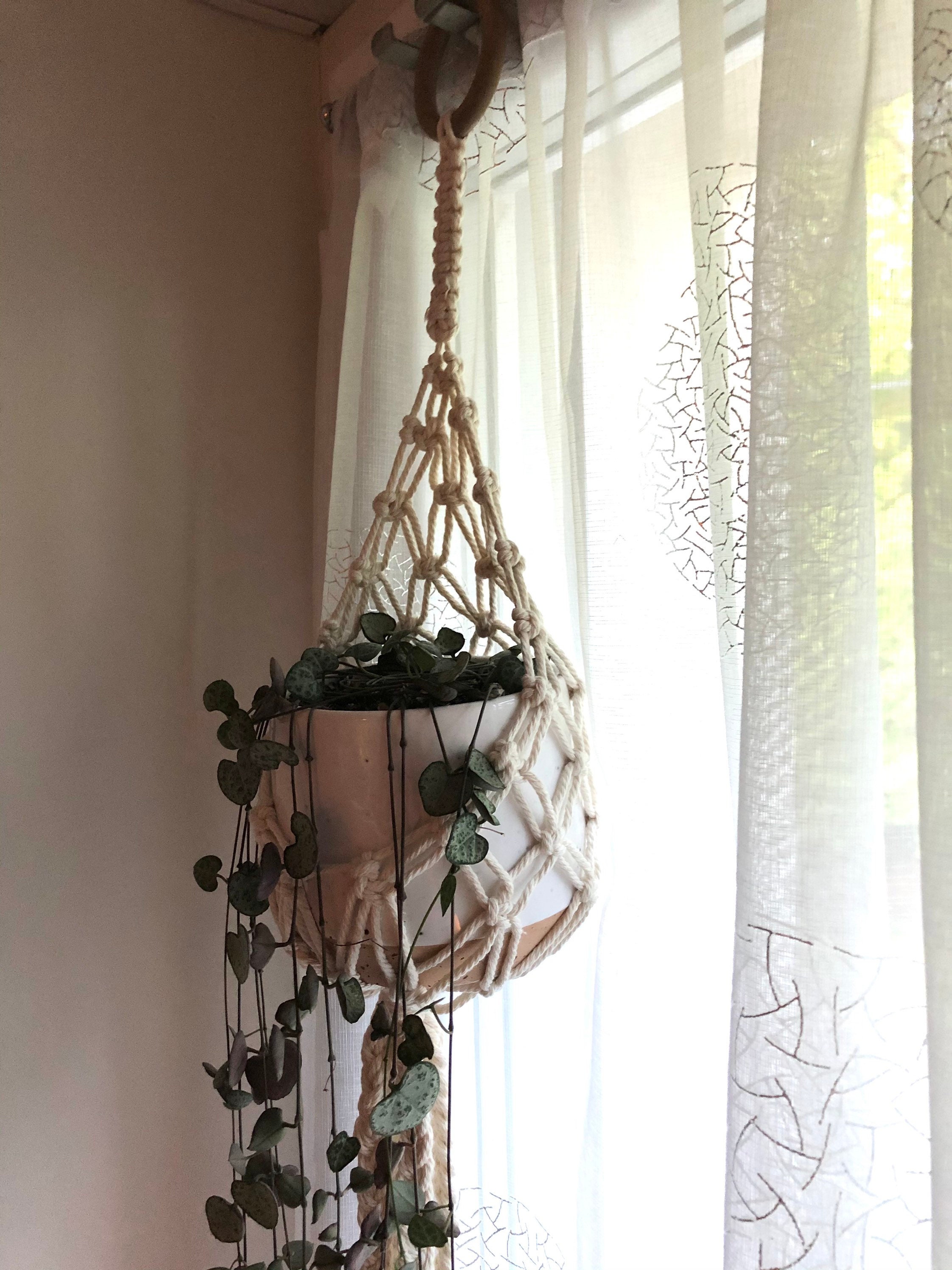 Suspension Boule Pour Plante