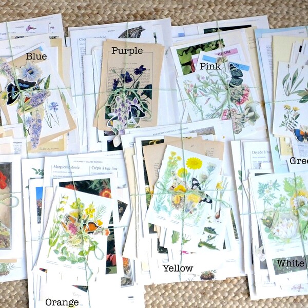 Over 50 pcs - FLOWERS ephemera pack for scrapbooking and "junk journals" with lots of cut outs, vintage images, illustrated book pages, etc.