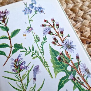 Libro di fiori selvatici botanici d'epoca con illustrazioni di tavole colorate ad acquerello, forniture per diari per scrapbooking, diario spazzatura