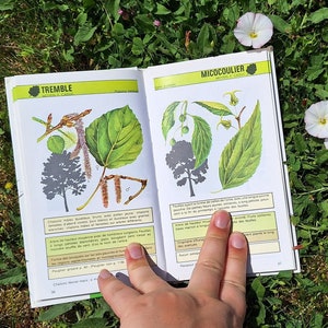 Libro de árboles botánicos antiguos con ilustraciones de láminas de acuarela antiguas, suministros de diario para scrapbooking, diario basura, dendrología
