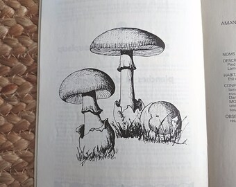 Mushrooms french Vintage book illustrated with black and white plates, journal supplies for scrapbooking, junk journaling