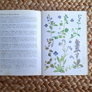 Vintage botanical wildflower flower book with watercolour colour plates illustrations, journal supplies for scrapbooking, junk journaling