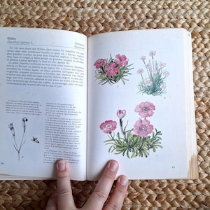 Vintage botanical wildflower flower book with old watercolour colour plates illustrations, journal supplies for scrapbooking junk journaling