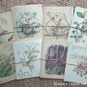 Edith Holden pack de pages de livre vintage - Diary of an Edwardian Lady Plaques de couleur illustrées, Collage Junk Journal Scrapbooking