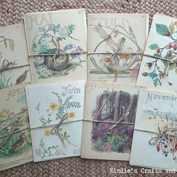 Edith Holden pack de pages de livre vintage - Diary of an Edwardian Lady Plaques de couleur illustrées, Collage Junk Journal Scrapbooking