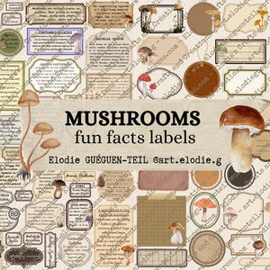 92 étiquettes sur les champignons, téléchargement numérique imprimable à découper, fournitures pour le scrapbooking