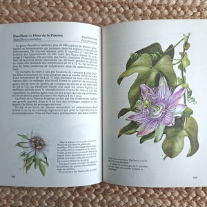 Libro d'epoca francese con illustrazioni di tavole di fiori botanici, piante di fiori acquerellate, forniture per scrapbooking, diario di spazzatura
