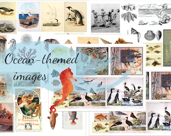 LOTS of ocean-themed images  - printable / digital download, journal supplies for scrapbooking, junk journaling, ocean lovers, writers