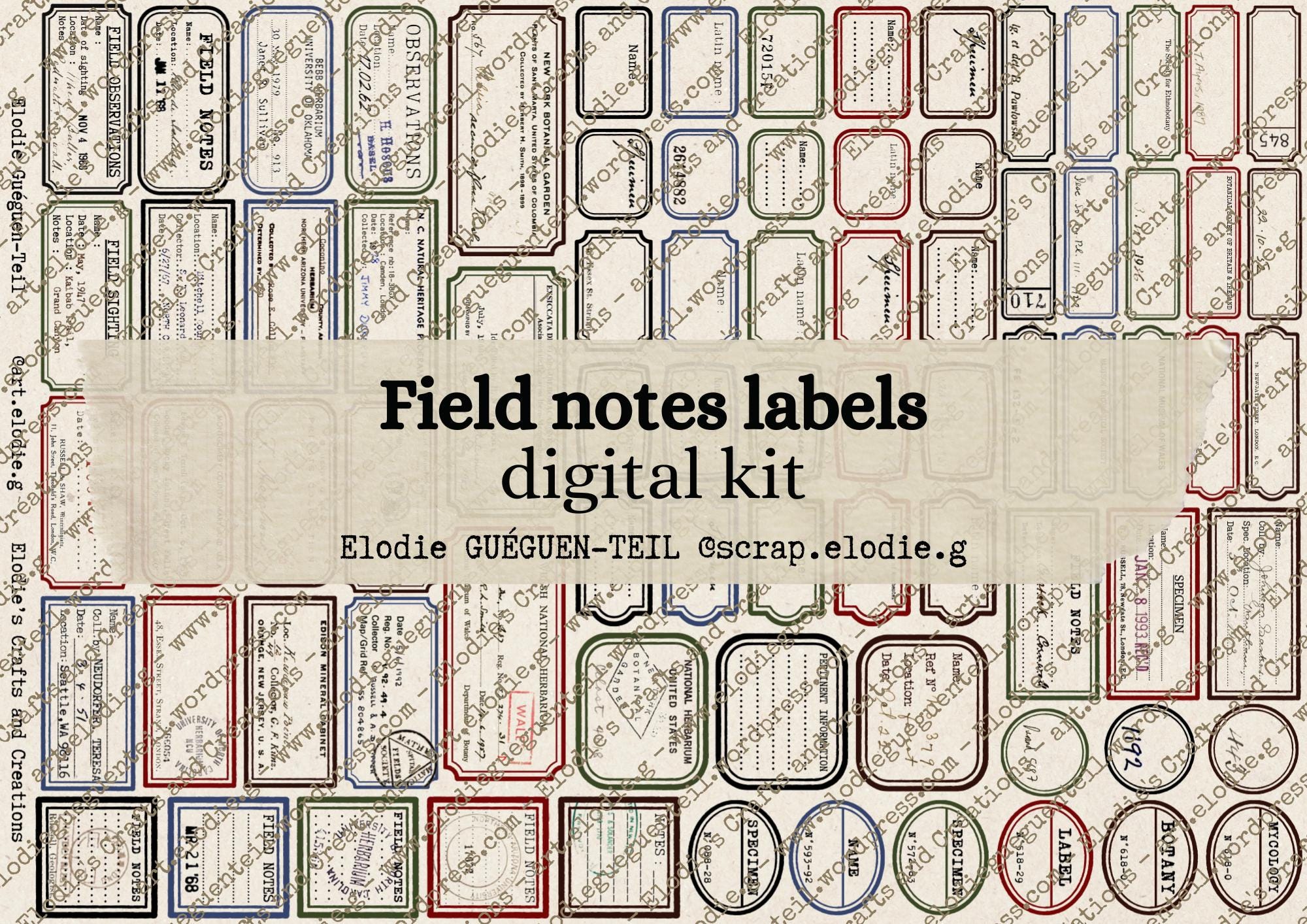 Field Notes Labels Vintage Field Notes Labels, Botany Apothecary Ephemera (digital ...