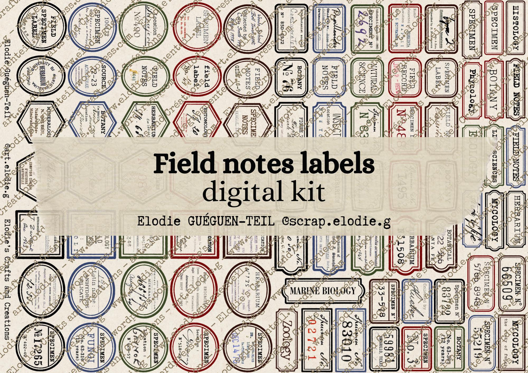Vintage Field Notes Labels, Botany Apothecary Ephemera (digital ...