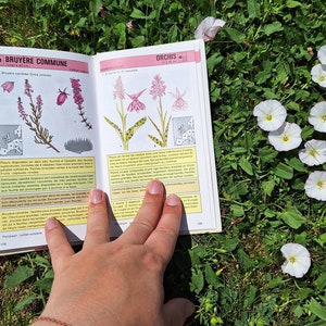 Vintage botanical wildflower flower book with old watercolour colour plates illustrations, journal supplies for scrapbooking junk journaling