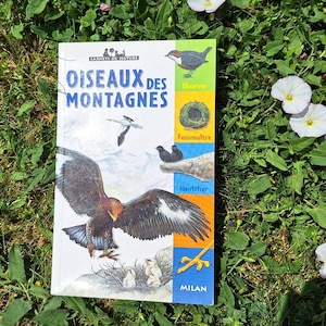 Oiseaux des Montagnes, Vintage book illustrated with watercolour colour plates, journal supplies for scrapbooking, junk journaling