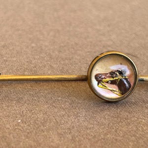 Puede incluir: Un broche dorado con un cabujón redondo de vidrio que presenta una imagen pintada de la cabeza de un caballo.