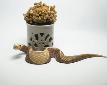 Wood Carving Snake Python